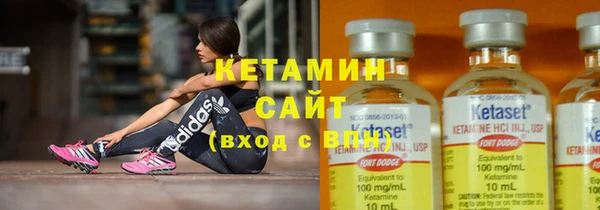 шишки Абаза