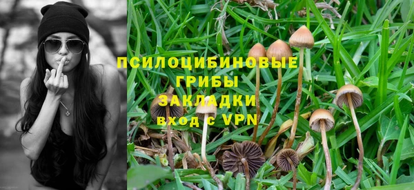 MESCALINE Дмитриев