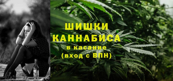 амф Дмитров