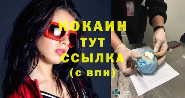 индика Покровск