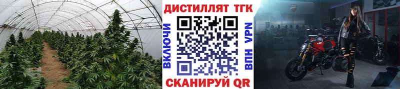 Дистиллят ТГК жижа  как найти закладки  Зея 