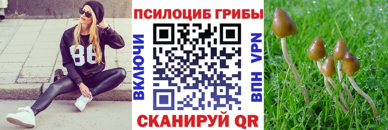 Псилоцибиновые грибы Psilocybine cubensis  ОМГ ОМГ ССЫЛКА  Зея 